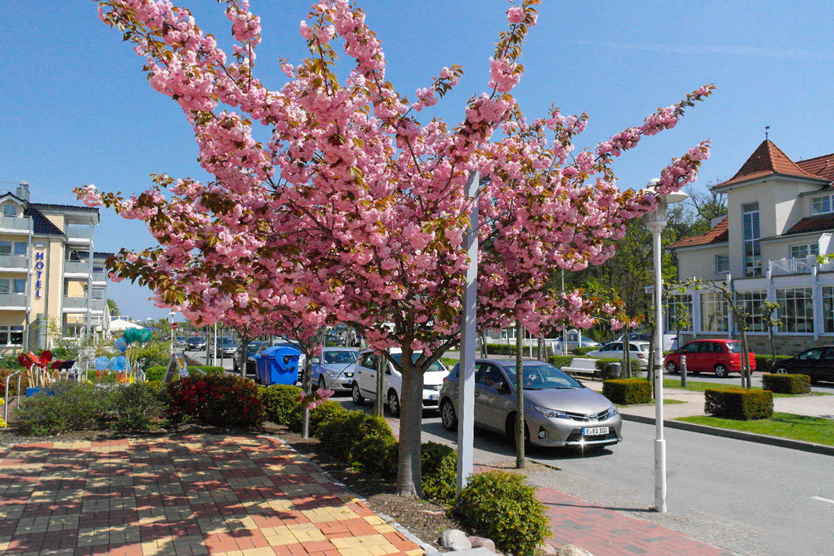 Im Frühling vorm Haus